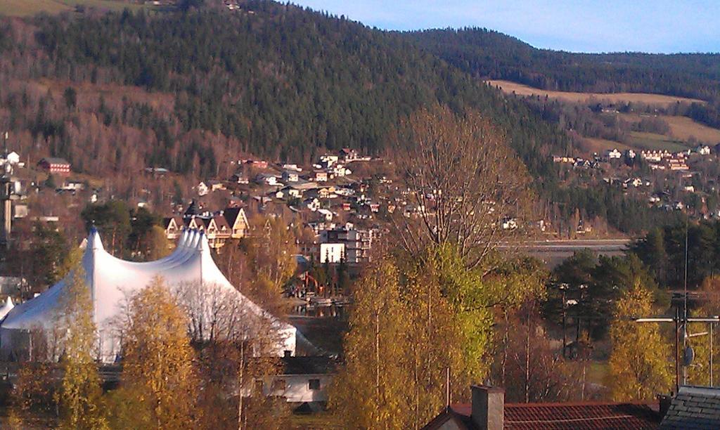 Valdres Naturlegvis 法格纳斯 外观 照片