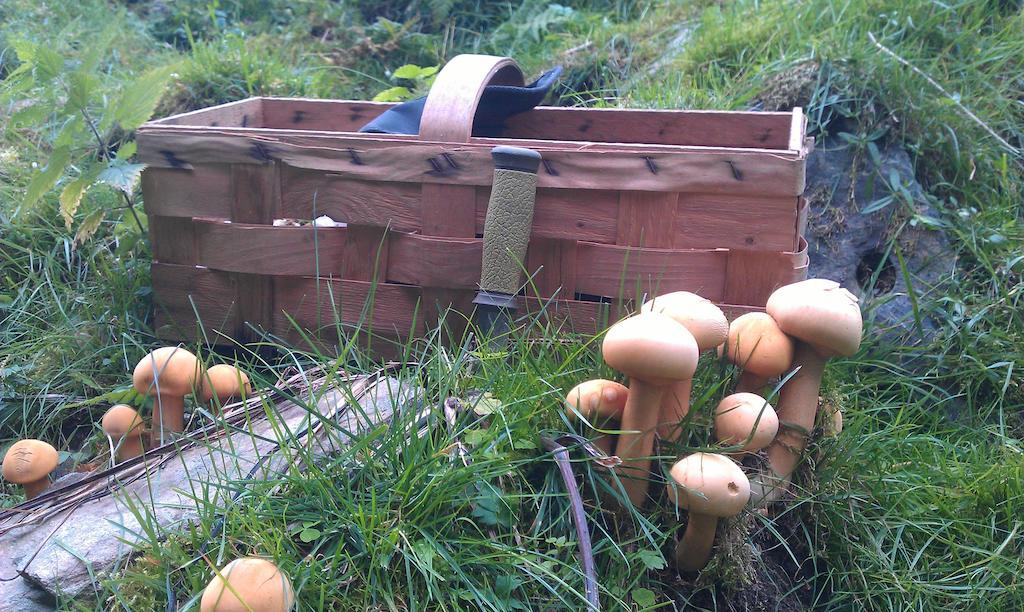 Valdres Naturlegvis 法格纳斯 外观 照片