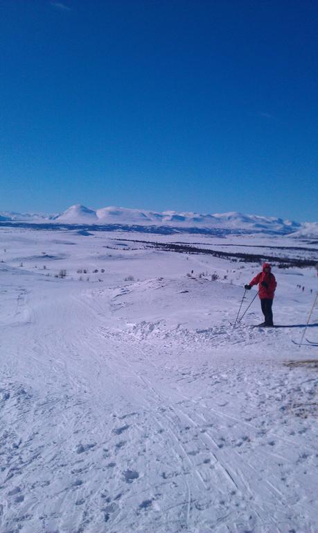 Valdres Naturlegvis 法格纳斯 外观 照片